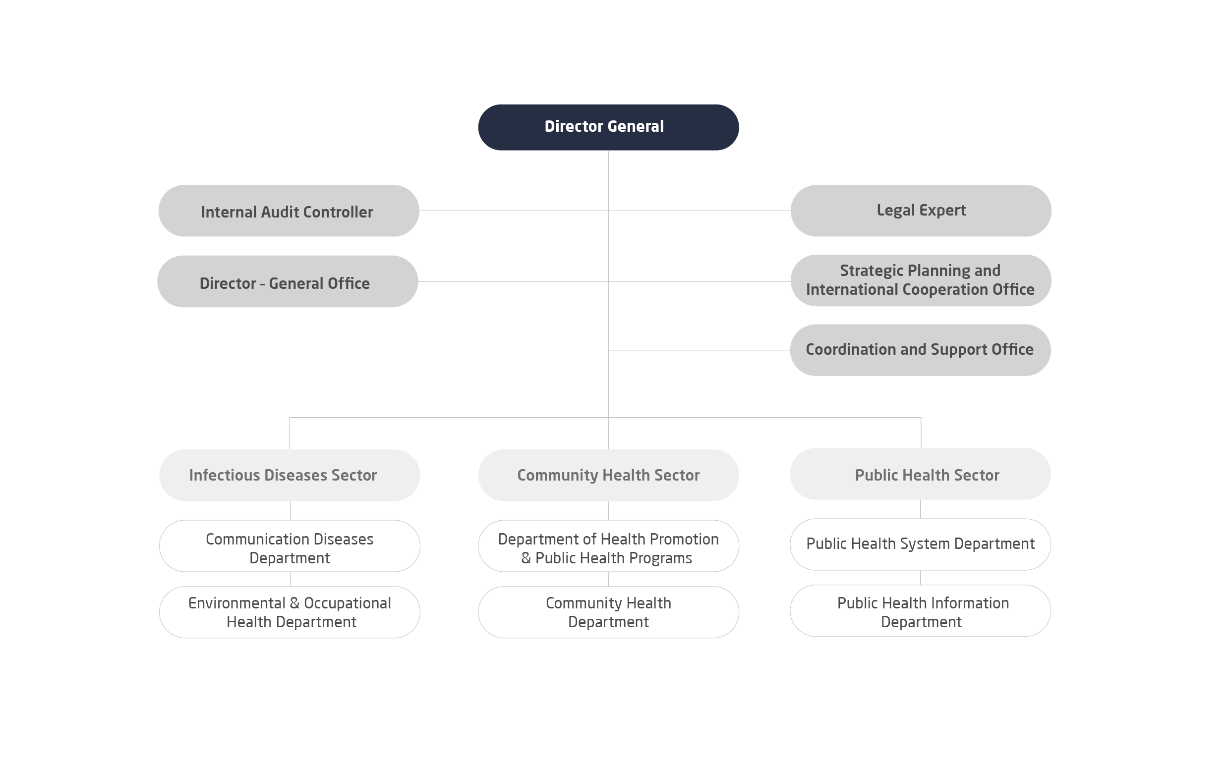 Organization-Structure