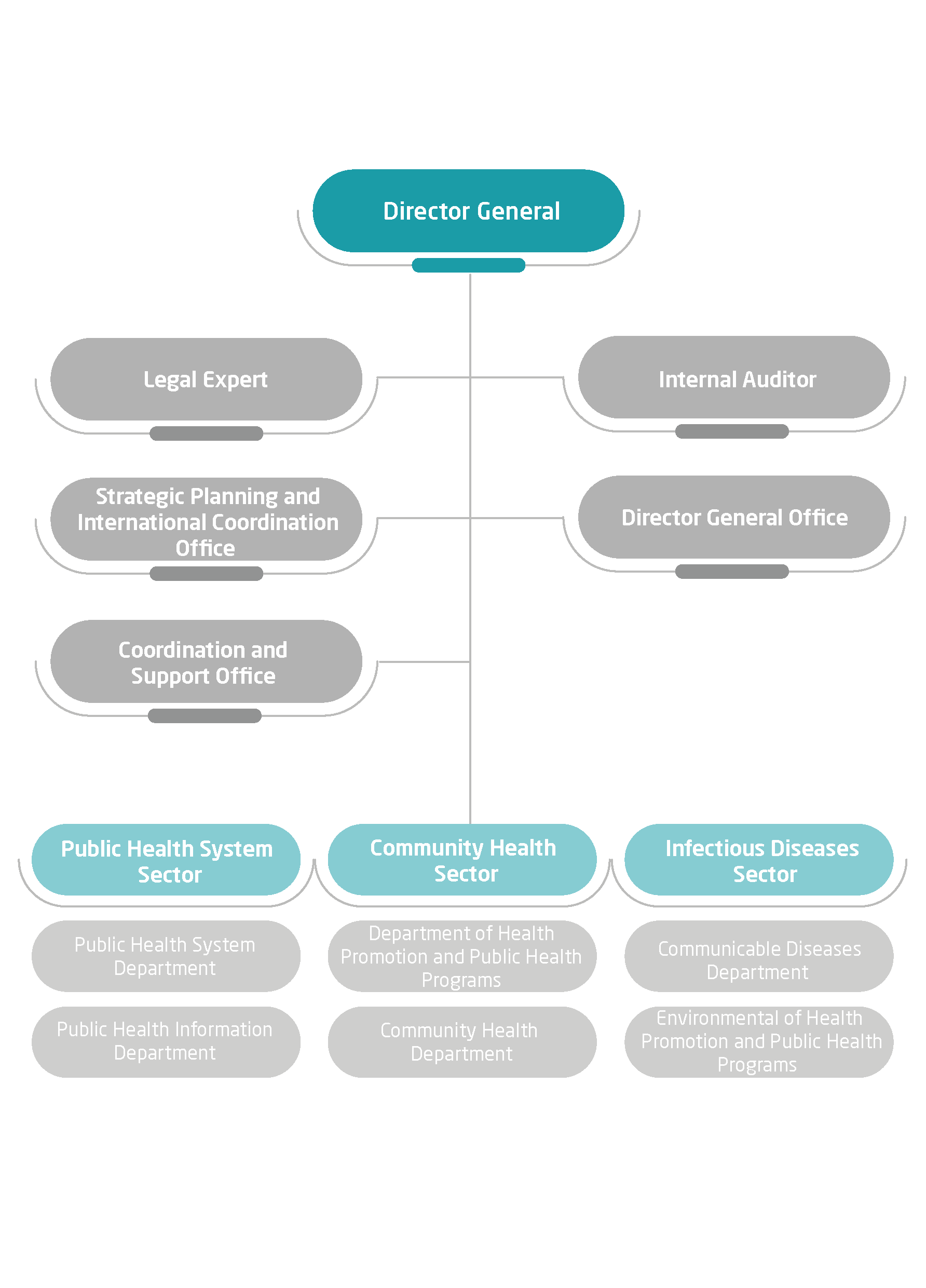 Organization-Structure