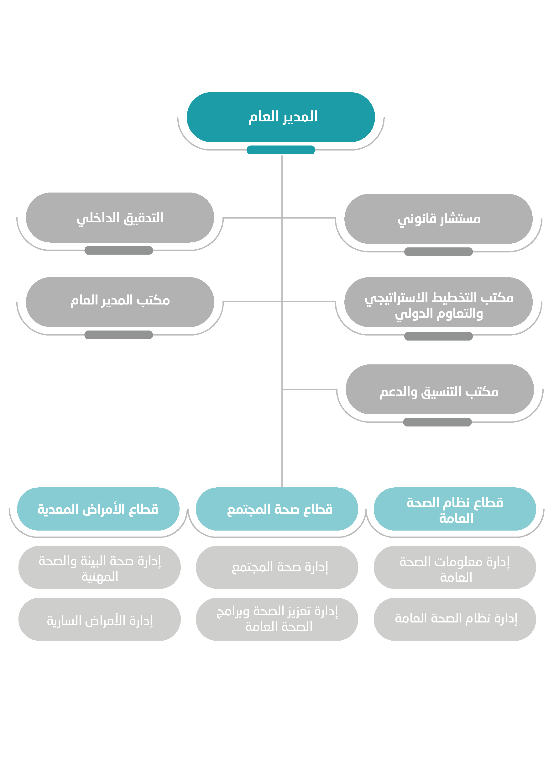 الهيكل التنظيمي