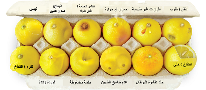 external symptoms Arabic