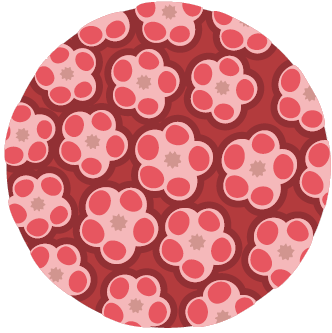 فيروس الورم الحليمي البشري